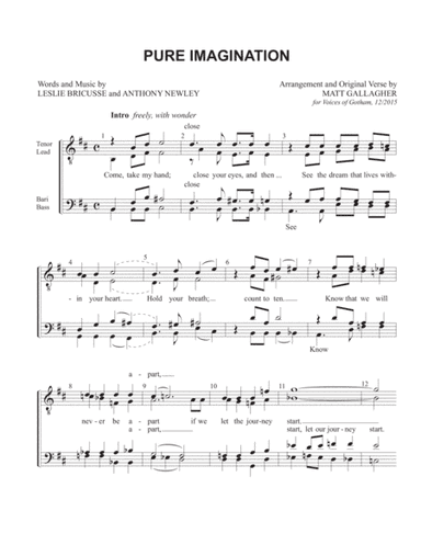 Pure Imagination (arr. Matt Gallagher)
