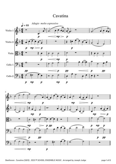 Cavatina by Beethoven for String Quintet in Schools (arr. Joseph Judge)