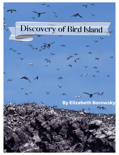 Discovery of Bird Island