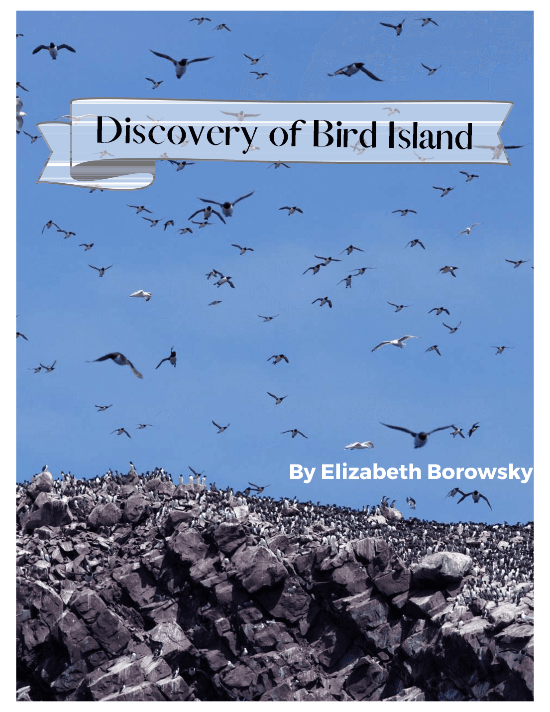 Discovery of Bird Island