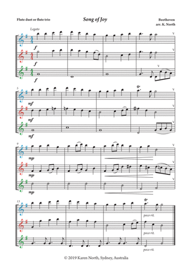 Song Of Joy (Symphony 9) (arr. Karen North)