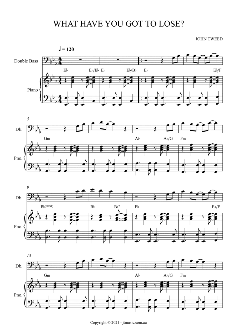 What Have You Got To Lose? - Double Bass and Piano