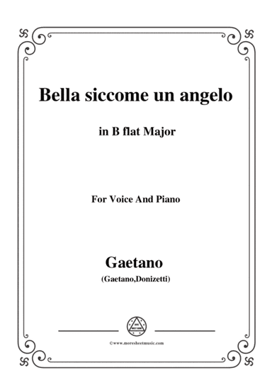 Donizetti-Bella siccome un angelo in B flat Major, for Voice and Piano (arr. MSM)