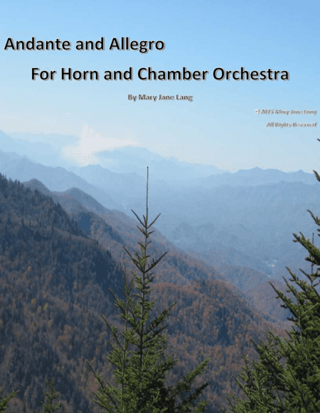 Andante and Allegro for Horn and Chamber Orchestra