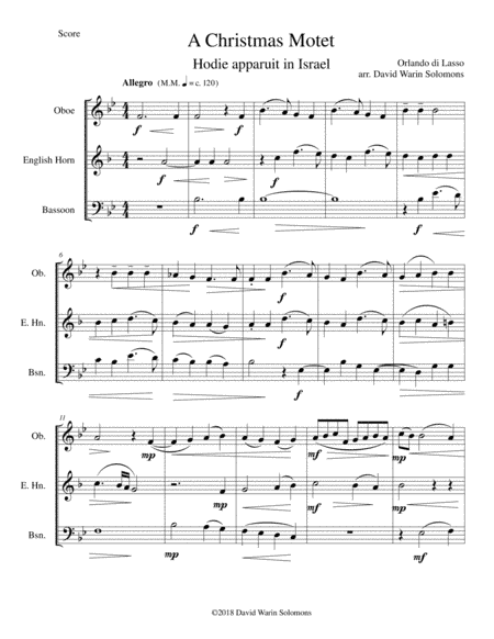 Christmas Motet (Hodie apparuit in Israel) for double-reed trio (arr. David Warin Solomons)