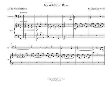 My Wild Irish Rose (arr. Dominic Meccia)