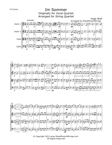 Wolf, H. - Im Sommer for String Quartet (arr. Linda M. Scott)