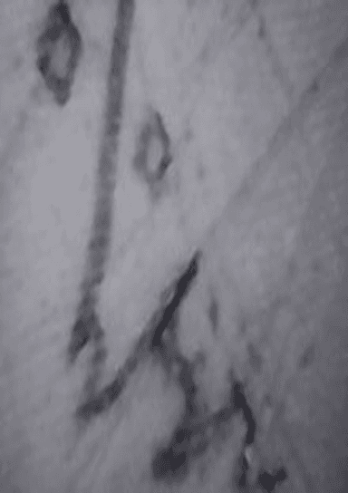 Morse Charang : 002152