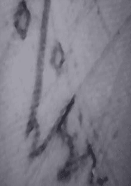 Morse Charang : 002152