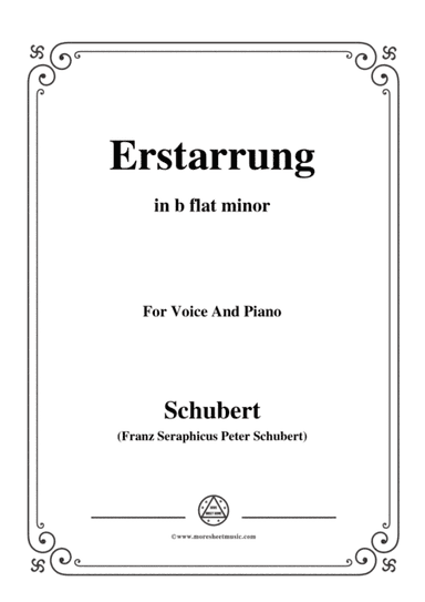 Schubert-Erstarrung,from 'Winterreise',Op.89(D.911) No.4,in b flat minor,for Voice&Piano (arr. MSM)