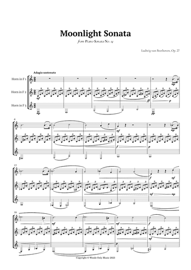 Moonlight Sonata by Beethoven for French Horn Trio (arr. Ander)