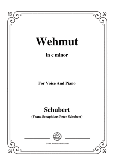 Schubert-Wehmut,Op.22 No.2,in c minor,for Voice&Piano (arr. MSM)