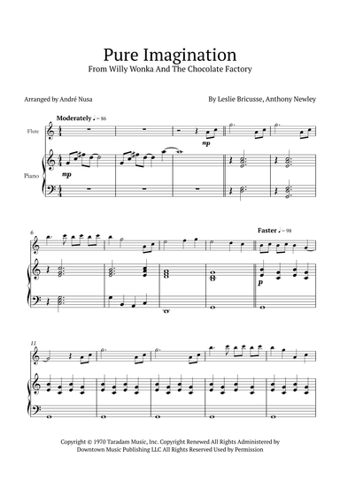 Pure Imagination (arr. André Nusa)