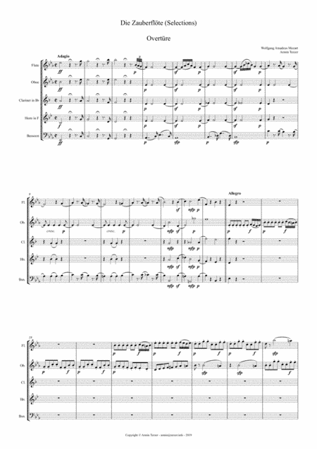 Magic Flute (Selections) (arr. Armin Terzer)