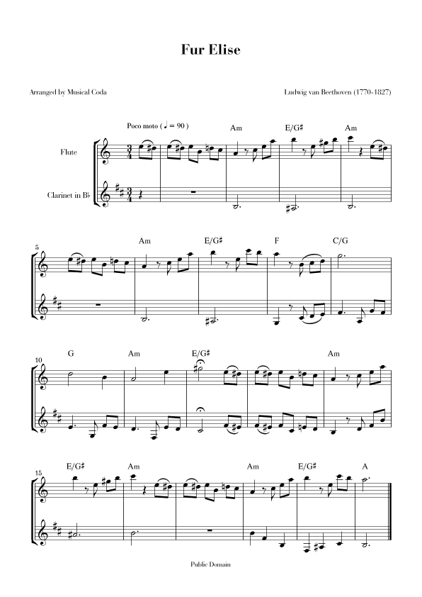 Fur Elise - Flute & Clarinet (arr. Musical Coda)