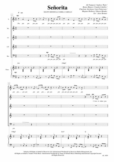 Senorita (arr. Jetse Bremer)