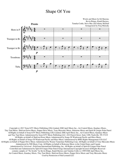 Shape Of You (arr. F. Mulcahy)