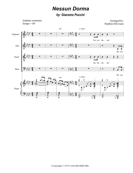 Nessun Dorma (arr. Stephen DeCesare)