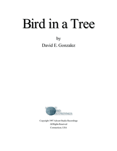 Bird in a Tree