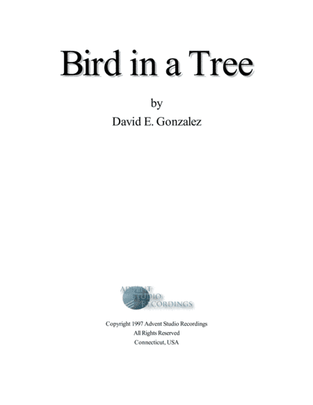 Bird in a Tree