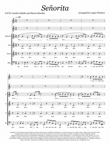 Senorita (arr. Logan Widmor)