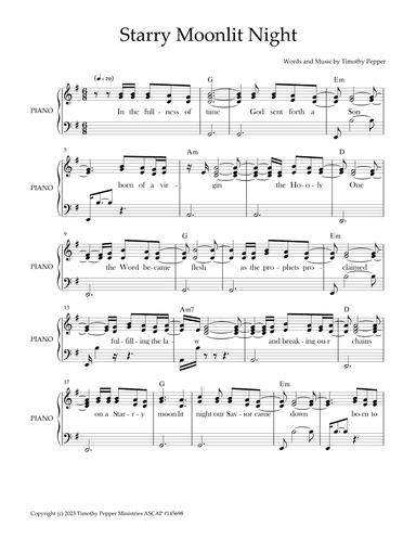 Starry Moonlit Night