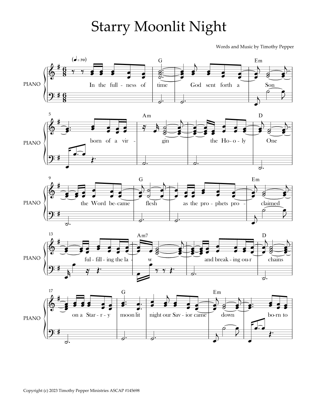 Starry Moonlit Night