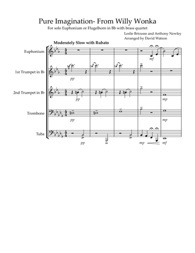 Pure Imagination (arr. David Watson)