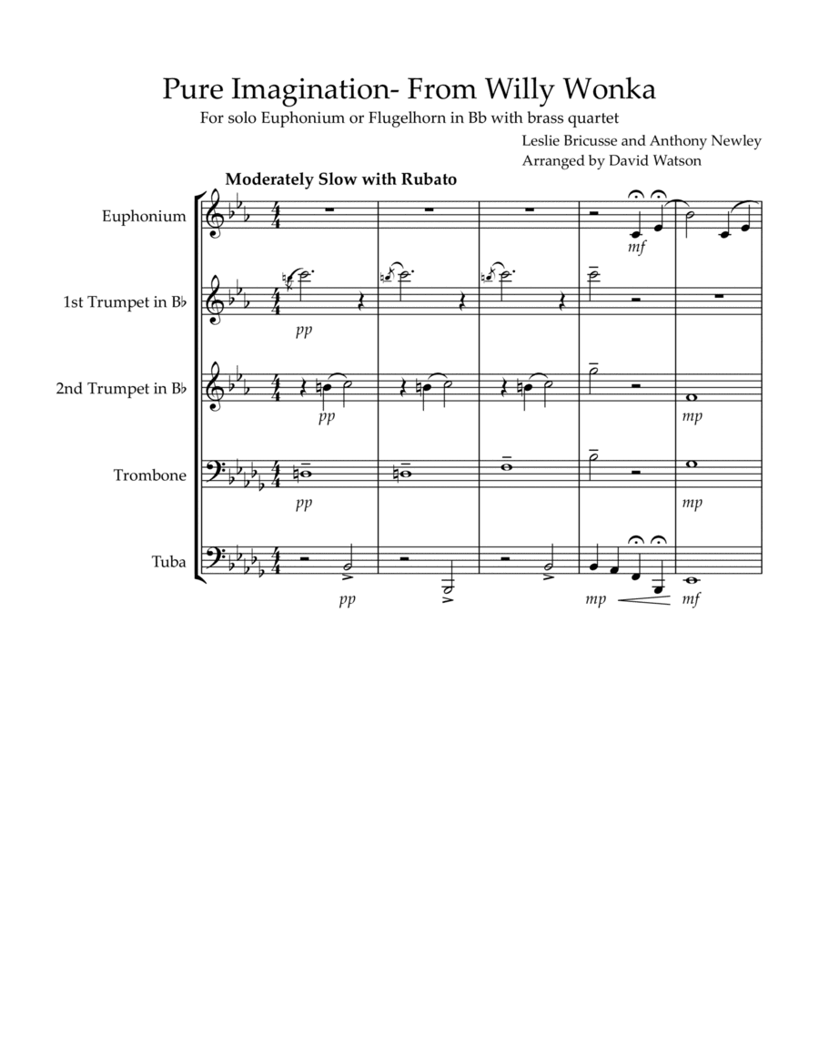 Pure Imagination (arr. David Watson)