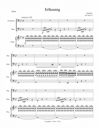 Erlkoenig for Trumbone, Tuba, Piano