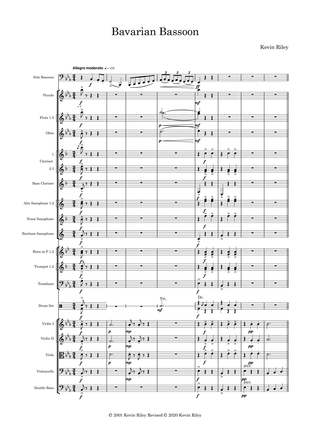 Bavarian Bassoon