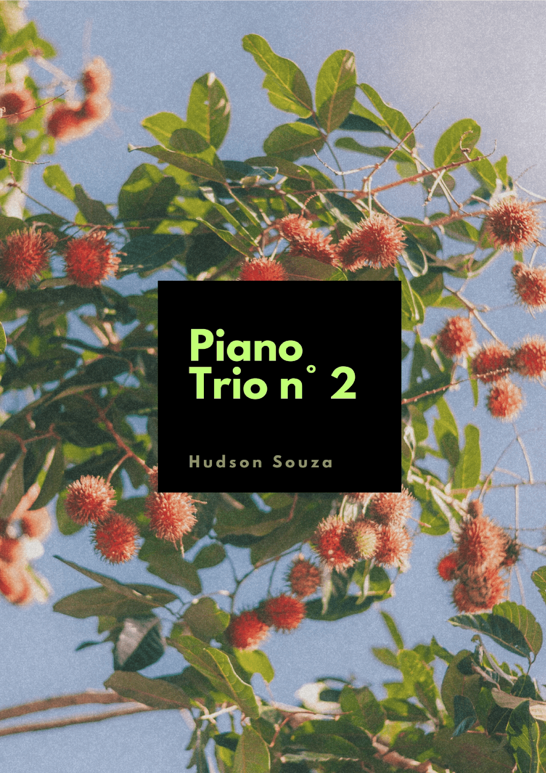 Piano Trio n° 2 - Flute - Clarinet