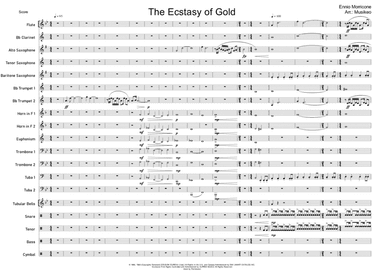 The Ecstasy Of Gold (arr. Musikeo)