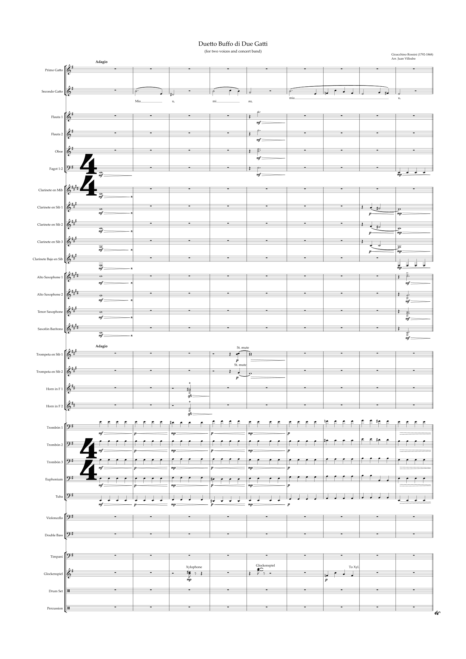 Duetto Buffo di Due Gatti (arr. Juan Villodre)