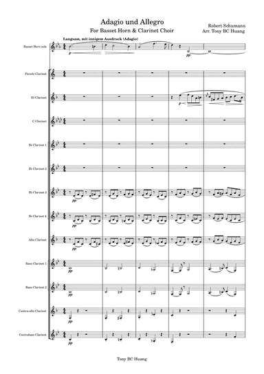 Schumann: Adagio and Allegro for Solo Basset Horn and Clarinet Choir (arr. Tony BC Huang)