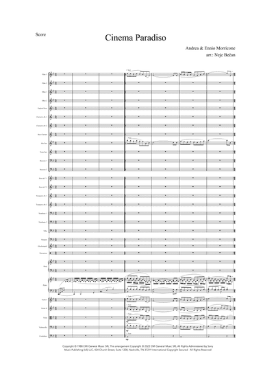 Cinema Paradiso (arr. Nejc Bečan)
