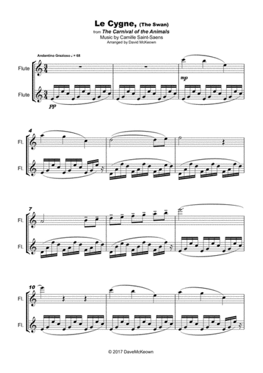 The Swan, (Le Cygne), by Saint-Saens, Duet for Flute (arr. David McKeown)