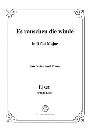 Liszt-Es rauschen die winde in D flat Major,for Voice and Piano (arr. MSM)
