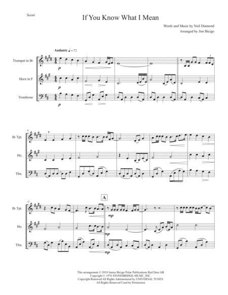 If You Know What I Mean (arr. Jim Bicigo)