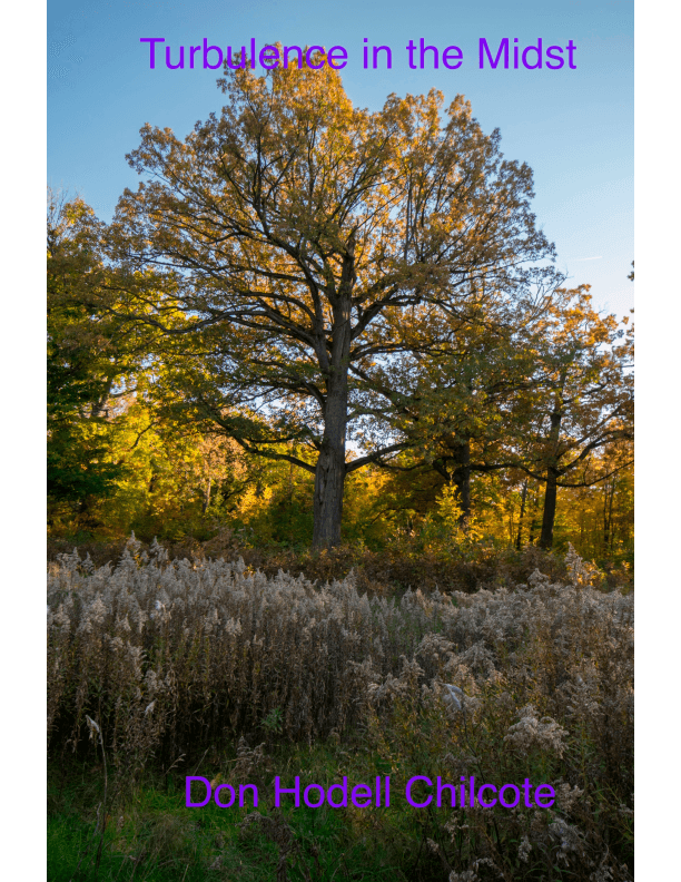 Turbulence in the Midst