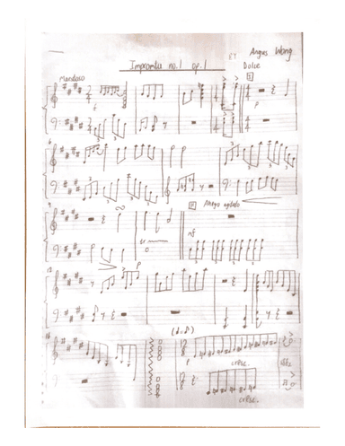 Impromptu no.1 op.1
