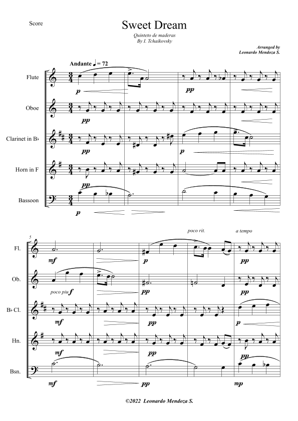 Sweet dreams (arr. Leonardo Mendoza S.)