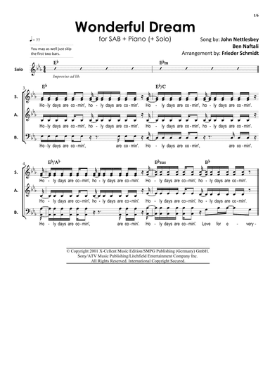 Wonderful Dream (holidays Are Coming) (arr. Frieder Schmidt)