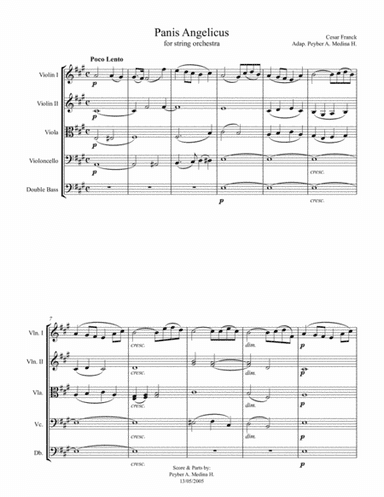Panis Angelicus, Cesar Franck for String Orchestra (arr. Peyber A. Medina H.)