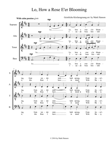 Lo, How a Rose E'er Blooming (arr. Mark Hanson)