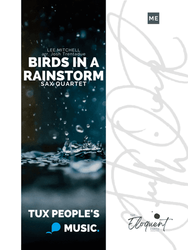 Birds in a Rainstorm