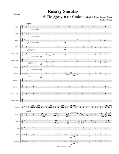 Rosary Sonatas: The Agony in the Garden (arr. Joshua Choe)