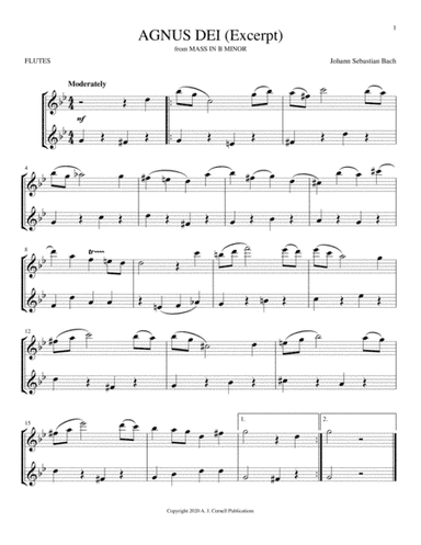 Agnus Dei (Excerpt) (arr. Mark Phillips)
