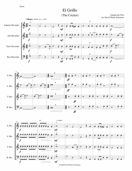 El Grillo (The cricket) - with decorations - for recorder quartet (arr. David Warin Solomons)