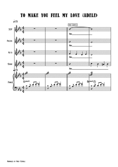 To Make You Feel My Love (arr. Andy Rumble)